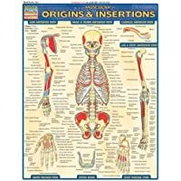 Muscular Origins &amp- Insertions (Quick Study Academic)